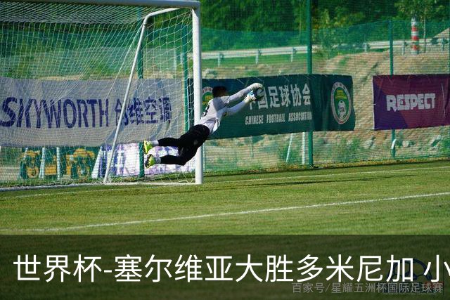 世界杯-塞尔维亚大胜多米尼加 小组第二进八强