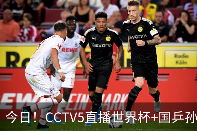 今日！CCTV5直播世界杯+国乒孙颖莎冲击冠军+中国男篮，5+转温网